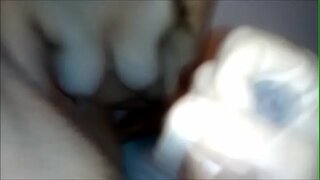 אַליין ראָדריגאָ casal אַזוי saio com casais e כאַנדבאַגז ביי passivos